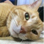 928727_663935827060604_793708986_a