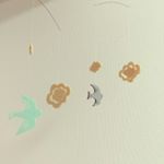 11350882_750995085027003_2020184420_a