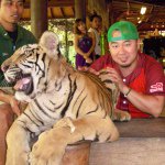 11195798_688921967901218_522615519_a