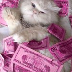 10932369_1375036982812913_125042473_a