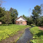 11008240_842752302465343_398664195_a