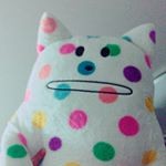 12135187_446846348854411_1691880310_a