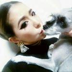 11375263_1483022315344857_764199978_a