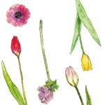 12725174_970421366340660_824655726_a