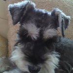 10354348_499094553552987_381310557_a