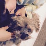 12298989_1670748089804321_151828814_a