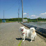 11049187_1545095319046146_2025986982_a