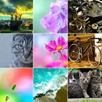 12599495_454874771364815_1315905348_a