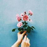 11848896_1047743255298366_1219798432_a