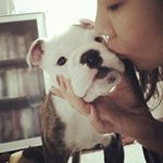 12717123_445526422282971_982470491_a