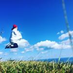 12269886_745272862273939_1719590635_a