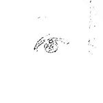 12716696_969608956449049_44330540_a