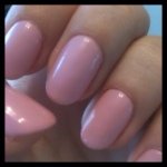 925334_1519776861587163_584091562_a