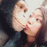 12783445_238248216518087_1011538000_a