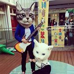 12071183_905114696190391_368053670_a