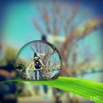 12393780_428220917374365_790029399_a