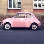 12331880_531175903725795_65459189_a