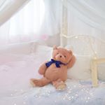 11356960_1697675203794819_619441740_a