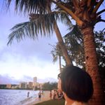 11931035_185404635126149_1764066646_a