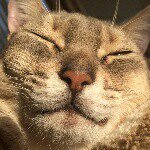 10818081_1509815479293029_120014969_a