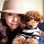 12750264_1681018845506308_1385439520_a