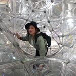 12080486_539194376232450_1326531510_a