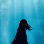 11376188_1052181598127379_2091975622_a