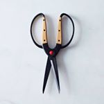 11380047_932737653434975_794653650_a