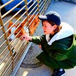 12724764_1708696119409810_322514413_a