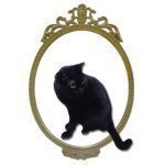 11850146_991693537519636_2099598360_a