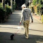 12545339_1661536684122121_1999054898_a