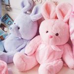 12728545_228711977471325_1625403876_a