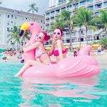 12558307_973480902745089_1371749292_a