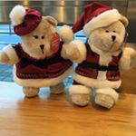 12142148_1708051702759993_1334463168_a