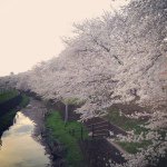 10431999_1566729933567209_16746341_a