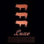 11849082_398901846976739_1188337435_a