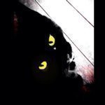 11363833_1615389528748925_61664995_a