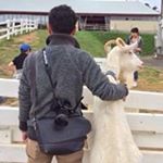 12407414_1529568444009257_1739109998_a