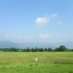 10575990_716942581688691_285599013_a