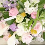 12750025_417671808442387_1510268518_a