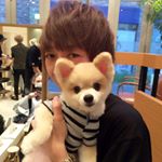 12139838_775066772621542_1130994624_a