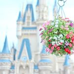 928197_200543250312522_1088169322_a