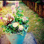 891457_709518935802694_1302923607_a