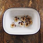 12531086_1572849746373714_683994482_a