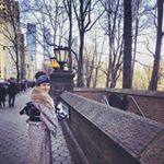 12747815_1742102719355288_2075942521_a