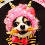 10584517_282424998612222_574257009_a