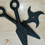 12747725_796186497152916_339013358_a