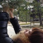 10723863_1534601136752847_1212212404_a