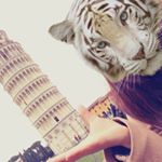 11250087_676084399190910_121701217_a