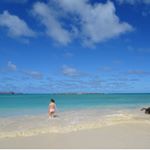 12822544_557309834429956_1594914198_a